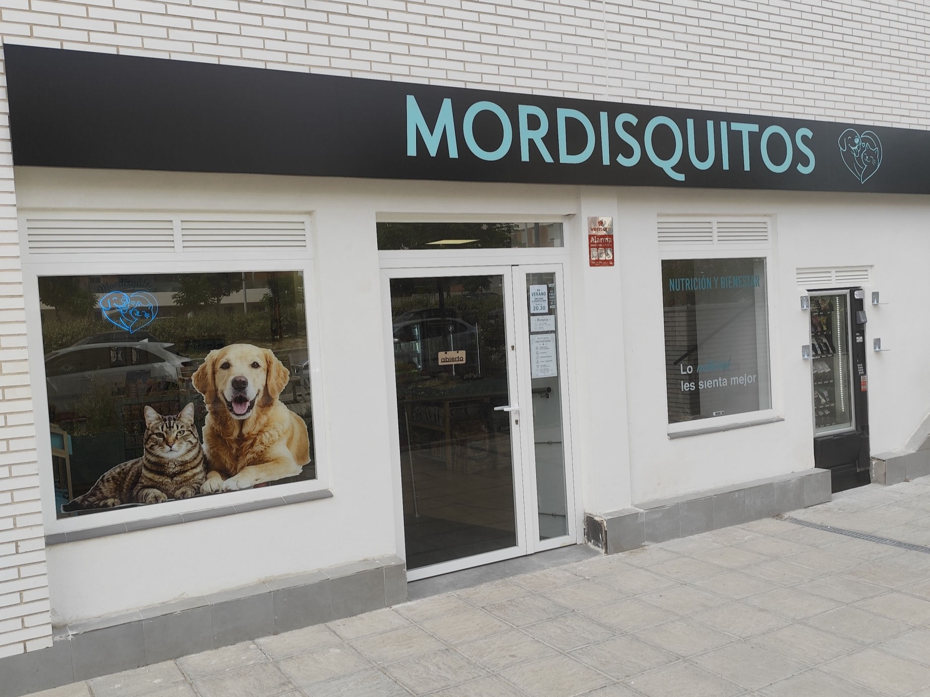 mordisquitos local