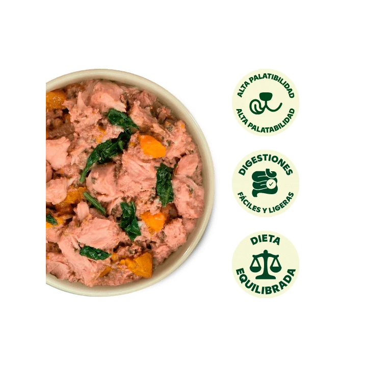 Wild Balance lata filosofía Barf de pavo perros 400gr