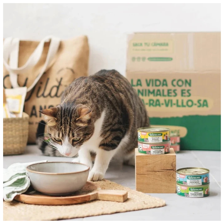 Wild Balance lata Estofado pavo y ternera gatos 80gr