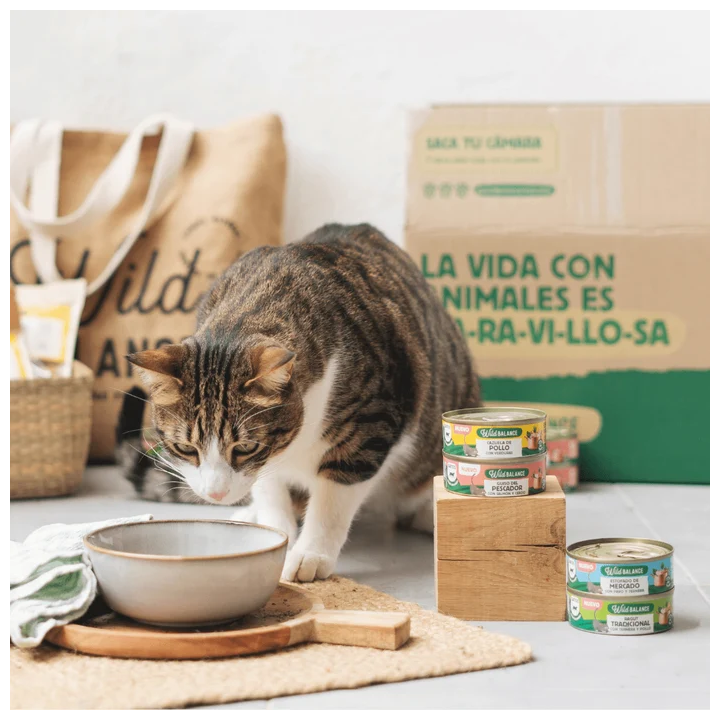 Wild Balance lata Ragut Tradicional ternera y pollo gatos 80gr