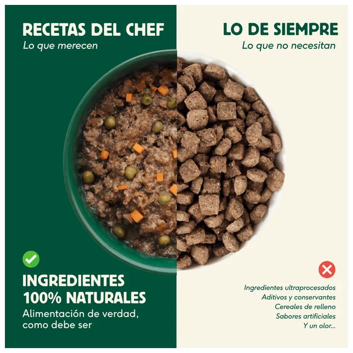 Wild Balance lata Ragut Tradicional ternera y pollo gatos 80gr