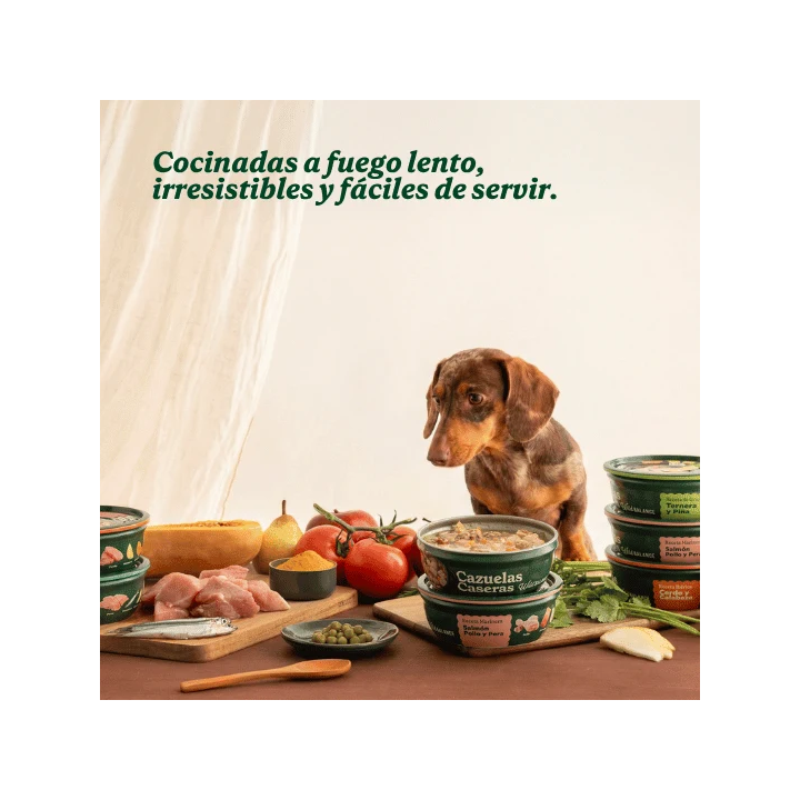 Wild Balance Cazuela casera Boquerón, pavo y manzana perros 280gr