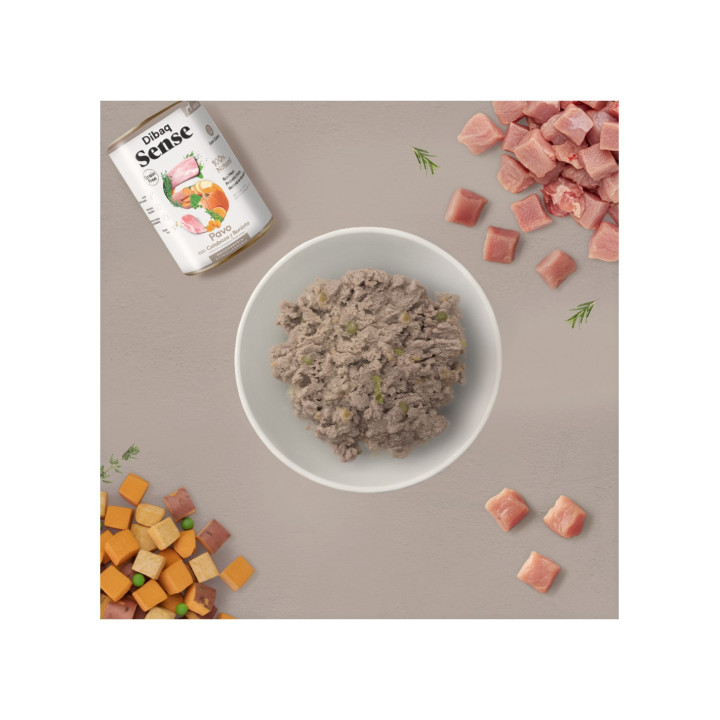 Dibaq Sense Grain Free Pavo y Calabaza 380gr comida húmeda para perro